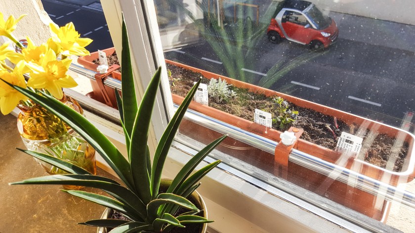 Blumenkasten Halterung Fensterbank ohne bohren