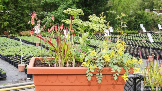 stabiler blumenständer Blumenständer Pflanzen Ständer Regal Halter Treppe Gestell Blumentisch –  Hermex.ch