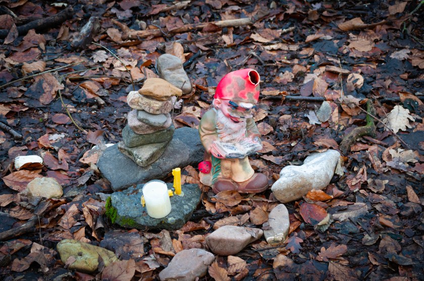 Unser aller Wald Keyenberg