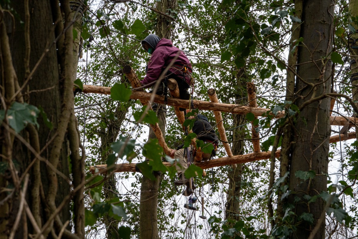 Baumhaus Aktivisten Lützerath