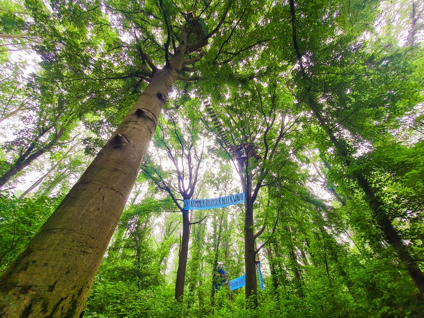 Baumhaus Unser Aller Wald Besetzung