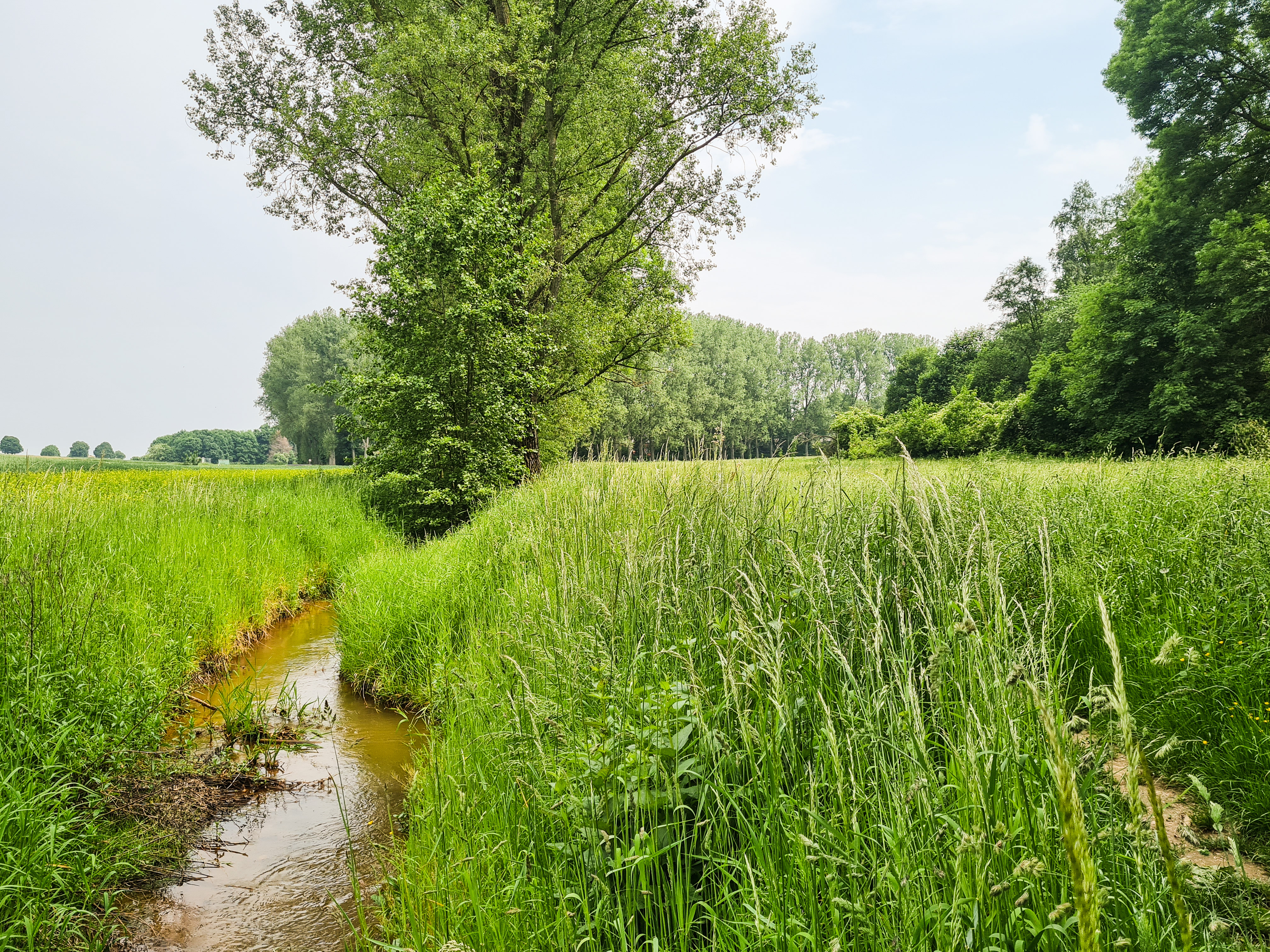 Bach Keyenberg Garzweiler RWE