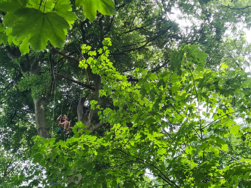 Schaukel Baumhaus Besetzung Garzweiler